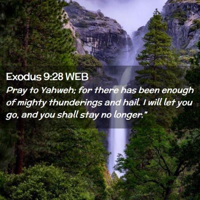 Picture 02 - Exodus 9:28 WEB - Pray to Yahweh; for there has been enough of - Bible Verse Picture