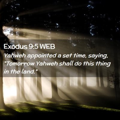 Picture 02 - Exodus 9:5 WEB - Yahweh appointed a set time, saying, 