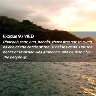 Picture 02 - Exodus 9:7 WEB - Pharaoh sent, and, behold, there was not so much - Bible Verse Picture