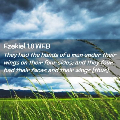 Picture 02 - Ezekiel 1:8 WEB - They had the hands of a man under their wings on - Bible Verse Picture