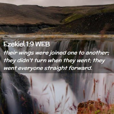 Picture 02 - Ezekiel 1:9 WEB - their wings were joined one to another; they - Bible Verse Picture
