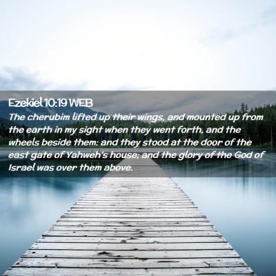 Picture 02 - Ezekiel 10:19 WEB - The cherubim lifted up their wings, and mounted - Bible Verse Picture