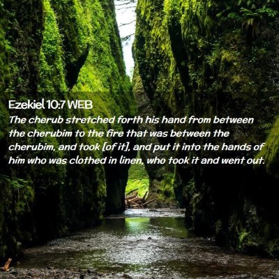 Picture 02 - Ezekiel 10:7 WEB - The cherub stretched forth his hand from between - Bible Verse Picture