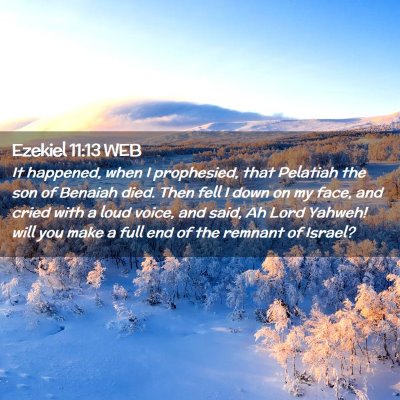 Picture 02 - Ezekiel 11:13 WEB - It happened, when I prophesied, that Pelatiah the - Bible Verse Picture