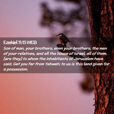 Picture 02 - Ezekiel 11:15 WEB - Son of man, your brothers, even your brothers, - Bible Verse Picture
