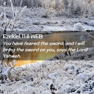 Picture 02 - Ezekiel 11:8 WEB - You have feared the sword; and I will bring the - Bible Verse Picture