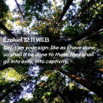 Picture 02 - Ezekiel 12:11 WEB - Say, I am your sign: like as I have done, so - Bible Verse Picture