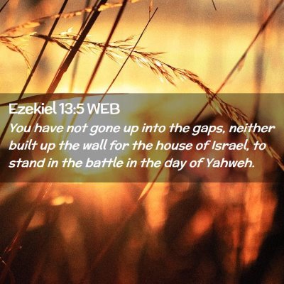 Picture 02 - Ezekiel 13:5 WEB - You have not gone up into the gaps, neither built - Bible Verse Picture
