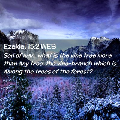Picture 02 - Ezekiel 15:2 WEB - Son of man, what is the vine tree more than any - Bible Verse Picture