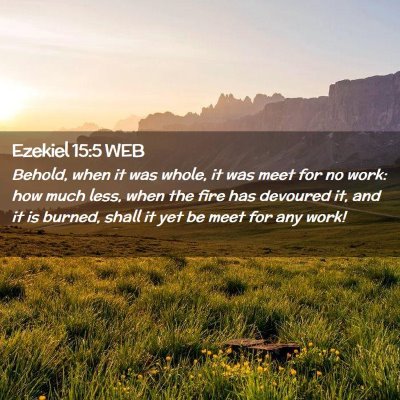Picture 02 - Ezekiel 15:5 WEB - Behold, when it was whole, it was meet for no - Bible Verse Picture