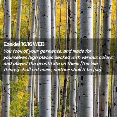 Picture 02 - Ezekiel 16:16 WEB - You took of your garments, and made for - Bible Verse Picture
