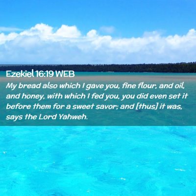 Picture 02 - Ezekiel 16:19 WEB - My bread also which I gave you, fine flour, and - Bible Verse Picture