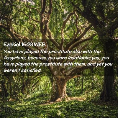 Picture 02 - Ezekiel 16:28 WEB - You have played the prostitute also with the - Bible Verse Picture