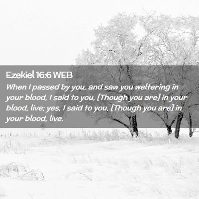 Picture 02 - Ezekiel 16:6 WEB - When I passed by you, and saw you weltering in - Bible Verse Picture
