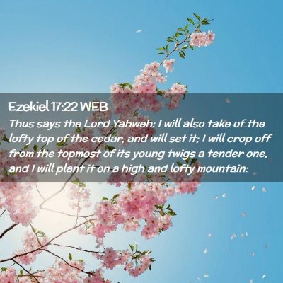 Picture 02 - Ezekiel 17:22 WEB - Thus says the Lord Yahweh: I will also take of - Bible Verse Picture