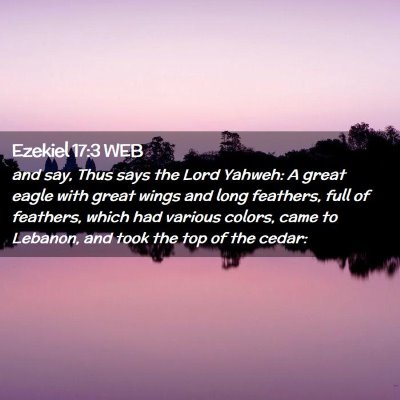 Picture 02 - Ezekiel 17:3 WEB - and say, Thus says the Lord Yahweh: A great eagle - Bible Verse Picture
