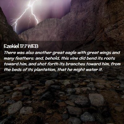 Picture 02 - Ezekiel 17:7 WEB - There was also another great eagle with great - Bible Verse Picture
