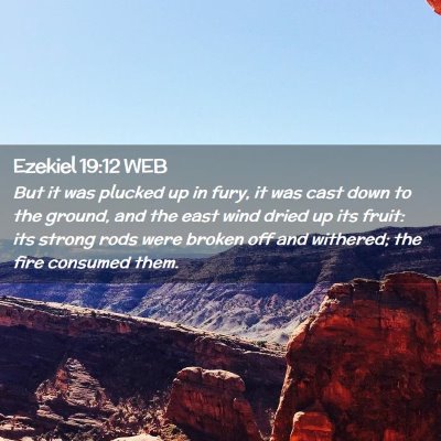 Picture 02 - Ezekiel 19:12 WEB - But it was plucked up in fury, it was cast down - Bible Verse Picture