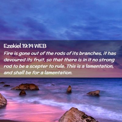 Picture 02 - Ezekiel 19:14 WEB - Fire is gone out of the rods of its branches, it - Bible Verse Picture
