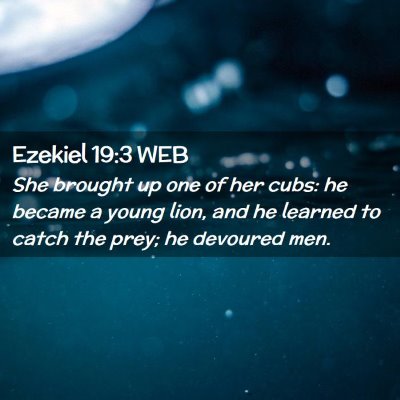 Picture 02 - Ezekiel 19:3 WEB - She brought up one of her cubs: he became a young - Bible Verse Picture