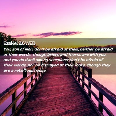 Picture 02 - Ezekiel 2:6 WEB - You, son of man, don't be afraid of them, neither - Bible Verse Picture