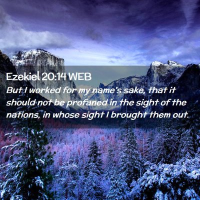 Picture 02 - Ezekiel 20:14 WEB - But I worked for my name's sake, that it should - Bible Verse Picture