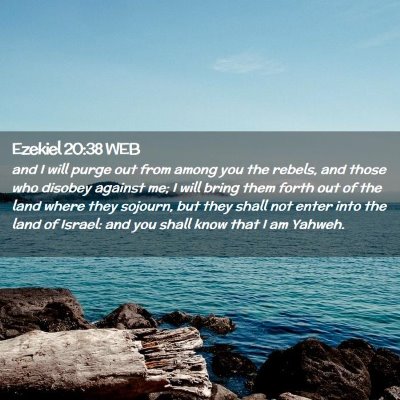 Picture 02 - Ezekiel 20:38 WEB - and I will purge out from among you the rebels, - Bible Verse Picture