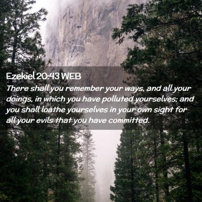 Picture 02 - Ezekiel 20:43 WEB - There shall you remember your ways, and all your - Bible Verse Picture