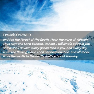 Picture 02 - Ezekiel 20:47 WEB - and tell the forest of the South, Hear the word - Bible Verse Picture