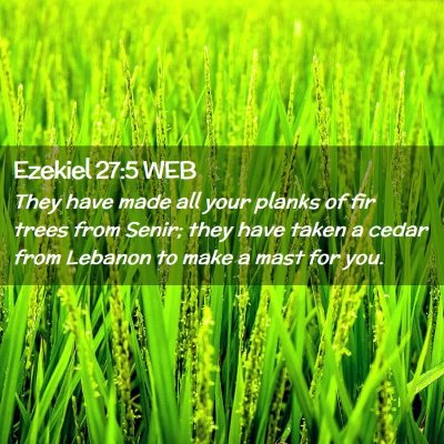Picture 02 - Ezekiel 27:5 WEB - They have made all your planks of fir trees from - Bible Verse Picture