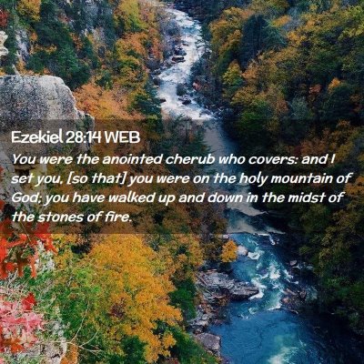 Picture 02 - Ezekiel 28:14 WEB - You were the anointed cherub who covers: and I - Bible Verse Picture