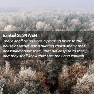 Picture 02 - Ezekiel 28:24 WEB - There shall be no more a pricking brier to the - Bible Verse Picture