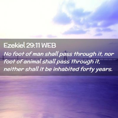 Picture 02 - Ezekiel 29:11 WEB - No foot of man shall pass through it, nor foot of - Bible Verse Picture
