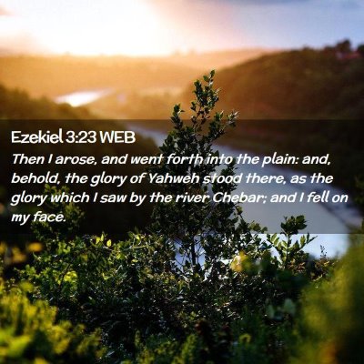 Picture 02 - Ezekiel 3:23 WEB - Then I arose, and went forth into the plain: and, - Bible Verse Picture