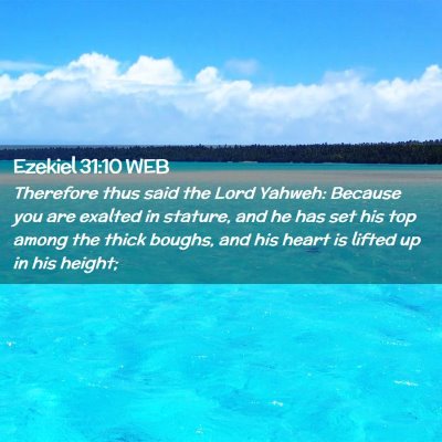 Picture 02 - Ezekiel 31:10 WEB - Therefore thus said the Lord Yahweh: Because you - Bible Verse Picture
