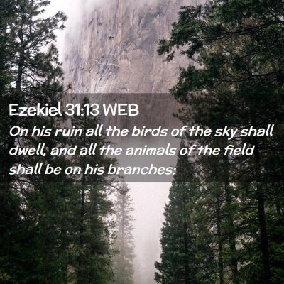 Picture 02 - Ezekiel 31:13 WEB - On his ruin all the birds of the sky shall dwell, - Bible Verse Picture