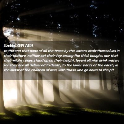 Picture 02 - Ezekiel 31:14 WEB - to the end that none of all the trees by the - Bible Verse Picture
