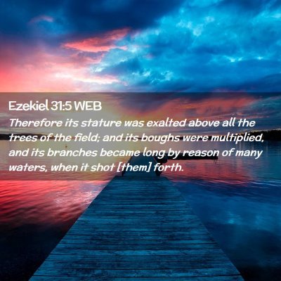Picture 02 - Ezekiel 31:5 WEB - Therefore its stature was exalted above all the - Bible Verse Picture