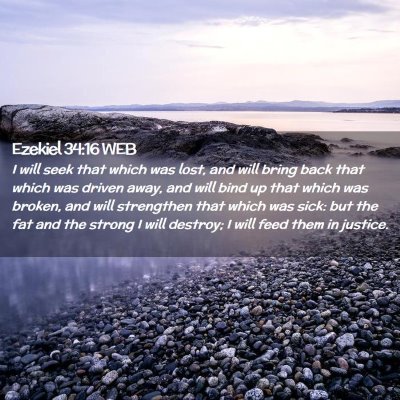 Picture 02 - Ezekiel 34:16 WEB - I will seek that which was lost, and will bring - Bible Verse Picture