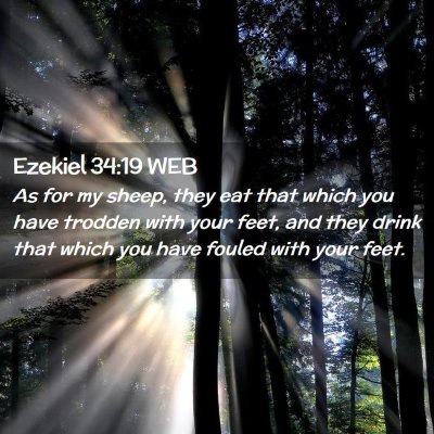 Picture 02 - Ezekiel 34:19 WEB - As for my sheep, they eat that which you have - Bible Verse Picture