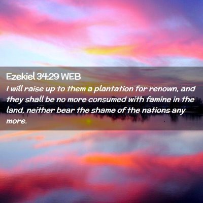 Picture 02 - Ezekiel 34:29 WEB - I will raise up to them a plantation for renown, - Bible Verse Picture