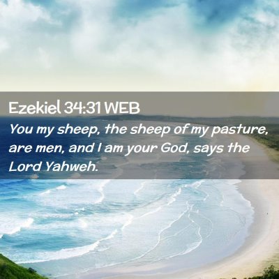 Picture 02 - Ezekiel 34:31 WEB - You my sheep, the sheep of my pasture, are men, - Bible Verse Picture