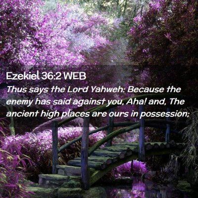 Picture 02 - Ezekiel 36:2 WEB - Thus says the Lord Yahweh: Because the enemy has - Bible Verse Picture