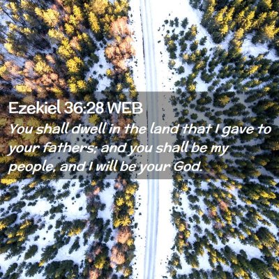 Picture 02 - Ezekiel 36:28 WEB - You shall dwell in the land that I gave to your - Bible Verse Picture