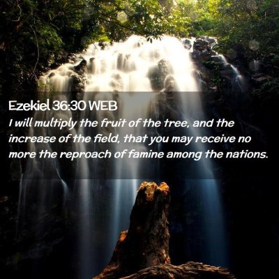Picture 02 - Ezekiel 36:30 WEB - I will multiply the fruit of the tree, and the - Bible Verse Picture