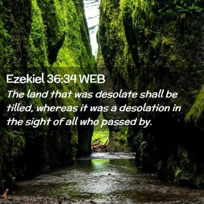 Picture 02 - Ezekiel 36:34 WEB - The land that was desolate shall be tilled, - Bible Verse Picture