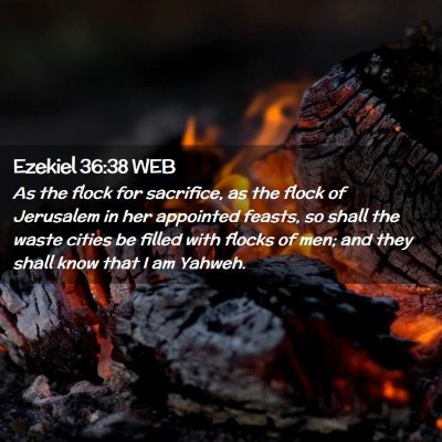 Picture 02 - Ezekiel 36:38 WEB - As the flock for sacrifice, as the flock of - Bible Verse Picture