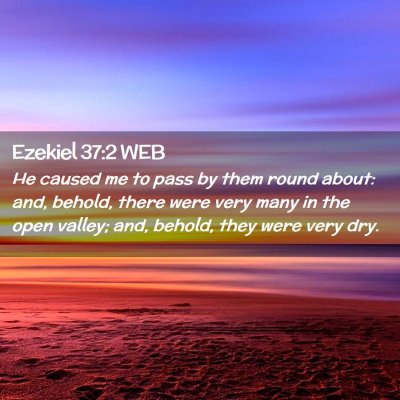 Picture 02 - Ezekiel 37:2 WEB - He caused me to pass by them round about: and, - Bible Verse Picture