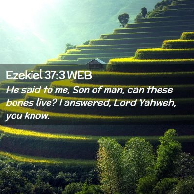 Picture 02 - Ezekiel 37:3 WEB - He said to me, Son of man, can these bones live? - Bible Verse Picture