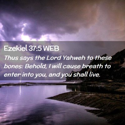 Picture 02 - Ezekiel 37:5 WEB - Thus says the Lord Yahweh to these bones: Behold, - Bible Verse Picture